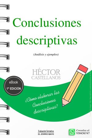 Conclusiones Descriptivas (Prim Pag)