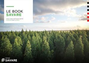 Ebook Savare