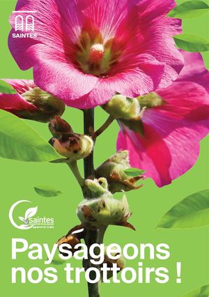 Vegetaliser les trottoirs 2024