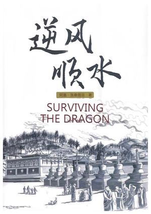 阿嘉仁波切自传简体中文版《逆风顺水》