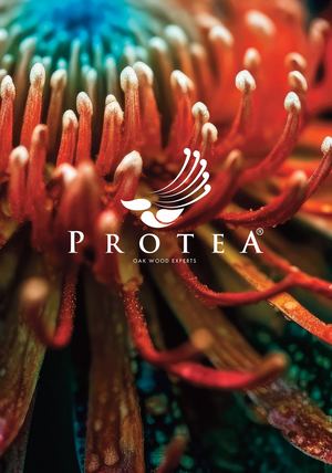 Protea France 2024