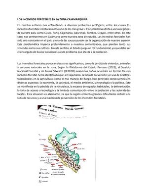 Articulo De Opinion Alexander Salas Condori 5f