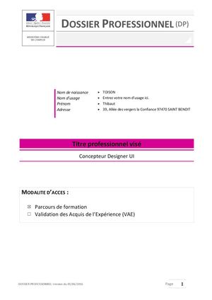 Dossier Professionnel Thibaut Cdui