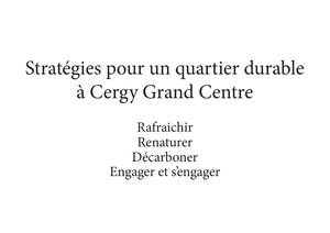 STRATEGIE DEVELOPPEMENT DURABLE