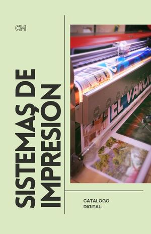 Sistemas De Impresión 20241209 224736 0000