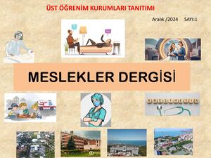 Meslekler Dergisi
