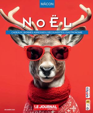 Noël en fêtes (Mâcon) 08/12/2024