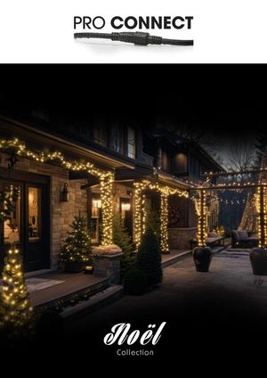 L'ESPRIT de NOEL by PRO CONNECT