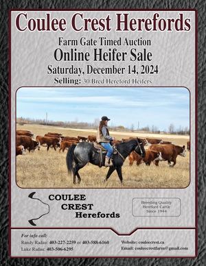 Coulee Crest 2024 Female Sale