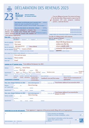 Taxes - Income Tax Return Translated Form
