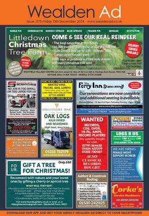 WEALDEN AD - 13/12/24