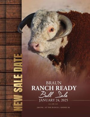2025 Braun Ranch Bull Sale