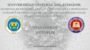 Presentación Trigulos Notables