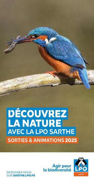 Guide des sorties 2025 | LPO Sarthe