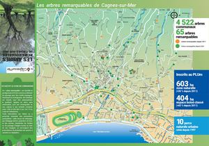 Le Patrimoine végétal de Cagnes-sur-Mer