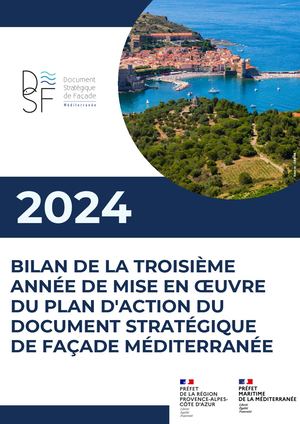 Bilan 2024 Pda Dsf