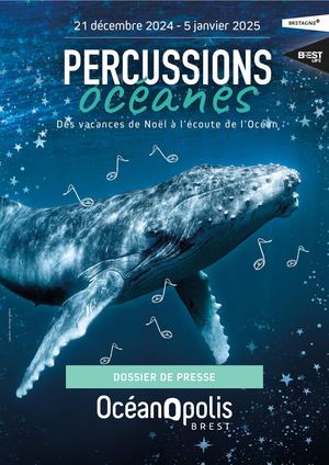 Dp Animations des vacances de Noël 2024