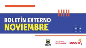 Boletin Noviembre Alpa