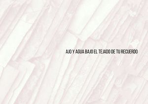 Catálogo de la exposición "Ajo y agua bajo el tejado de tu recuerdo"