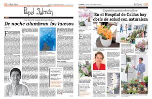 Papel Salmón Diciembre 14 2024