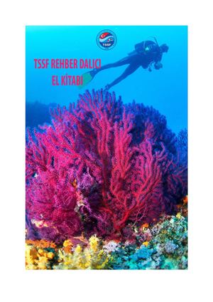 Tssf Rehber El Ki̇tabi