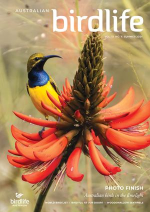 Australian Birdlife Summer 2024