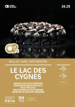 Programme Le Lac Des Cygnes