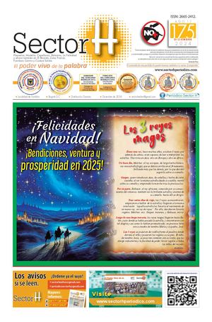Periódico Sector H 175 Y Plan S 28 Dic 2024
