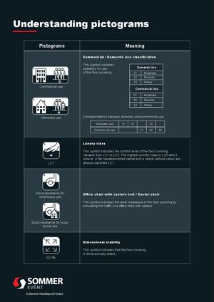 Sommer Understanding Pictograms 2025
