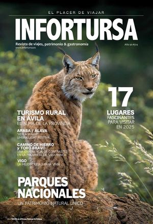 REVISTA INFORTURSA Nº 314