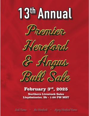 13th Annual Premier Bull Sale