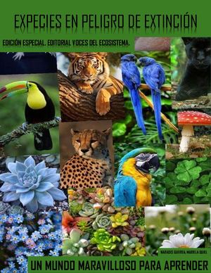 Especies En Extinción En Panamá