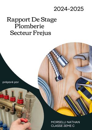 Raport De Stage Nathan