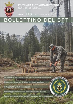 Bollettino Cft 2024 2 Calameo