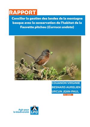 Concilier la gestion des landes de la montagne basque avec la conservation de l'habitat de la Fauvette pitchou (Curruca undata)