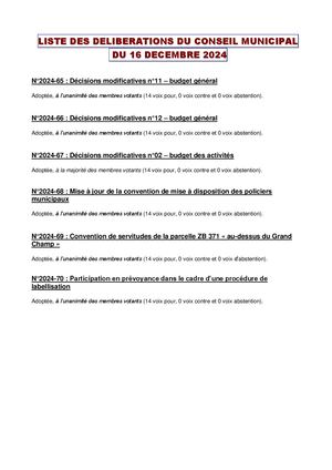 Cm20241216 Deliberations