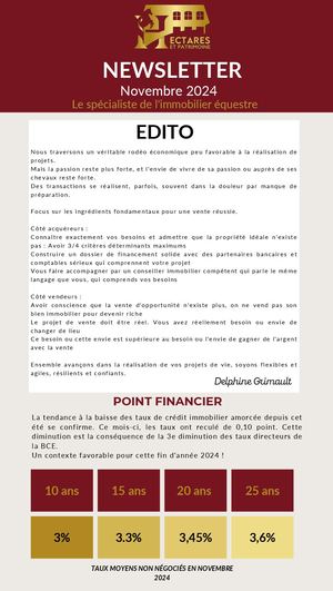 H&P Newsletter Novembre 2024