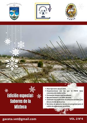 Gaceta Volumen Volumen 2 N°4