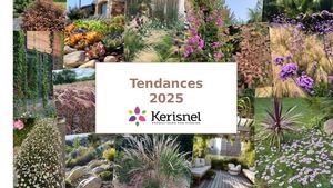 Tendances 2025