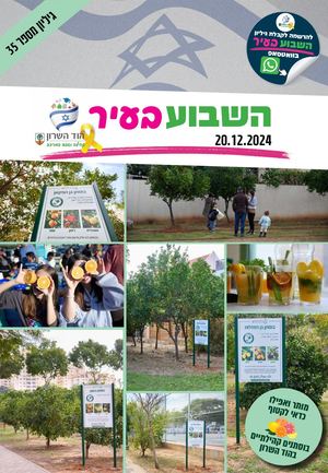 השבוע בעיר 20.12