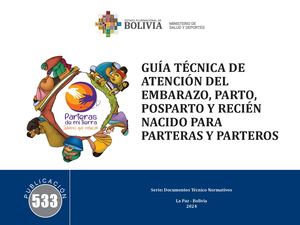 Guia Tecnica De Atencion Del Embarazo, Parto, Postparto Y Recien Nacido Para Partears Y Parteros 2024