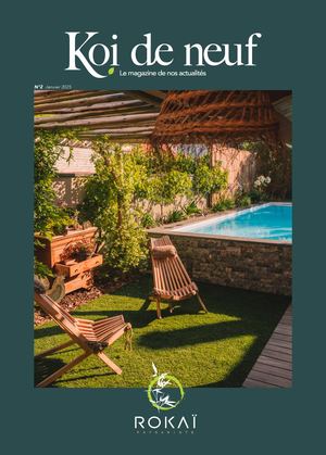 Koi De Neuf Édition Janvier 2025 Comp