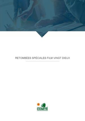 Retombées Spéciales Film Vingt Dieux