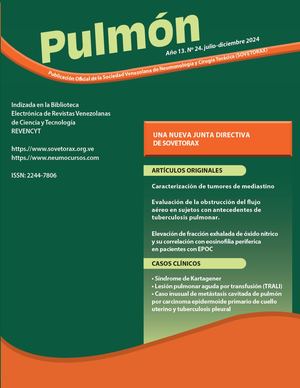 Revista Pulmón Volumen  24 julio diciembre 2024