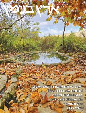 גיליון 459 כסלו תשפ"ה דצמבר 2024