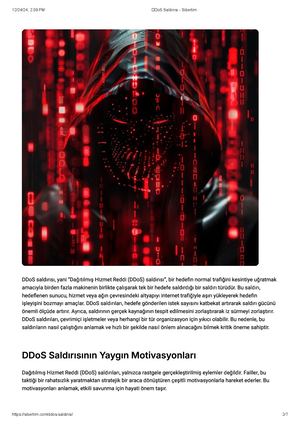 DdoS Saldırısı Sibertim