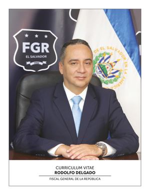Cv Fiscal General