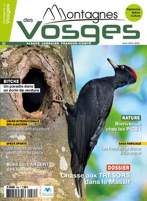 Montagnes des Vosges 35 HIVER 2024/2025