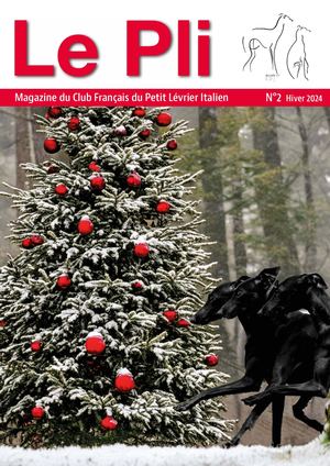 Le Pli N2 2024 Digital