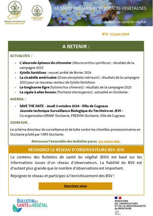 Bsv Jevi#8 Juin 2024